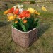 Цветник КАНЬОН купить в Пятигорске